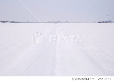 Snowy field 2340447