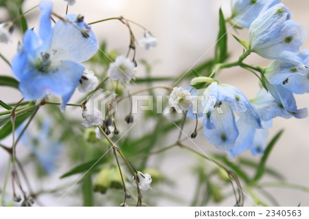 pale, floral arrangement, ikebana 2340563