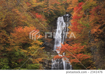 Karasawa waterfall of autumn leaves 2341476