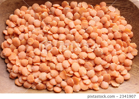 紅扁豆 2341907