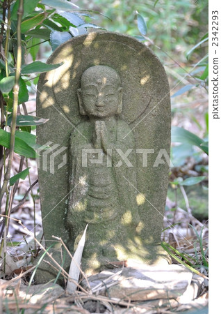 Wild Buddhist chief 2342293