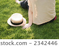 Summer lawn 2342446