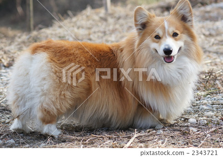 Let's play together. Let's play together. 2343721