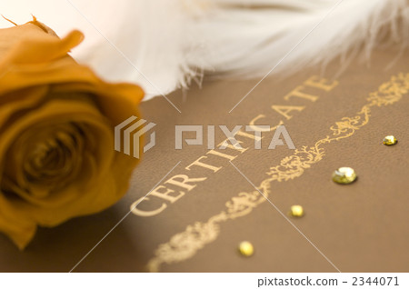 結婚證書 2344071