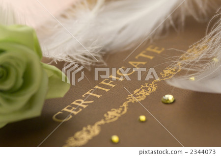 結婚證書 2344073