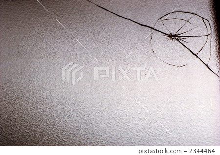 Cracked window glass 2344464