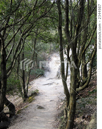 mountain road, mountain trail, yamanaka 2344987