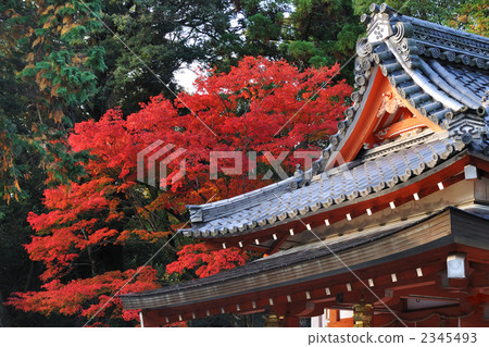 Nagaoka Tenman-gu 2345493