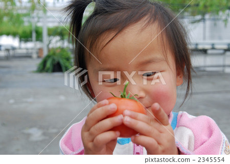 黃綠色蔬果 蔬菜 凝視 2345554