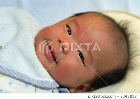 嬰兒 2345832