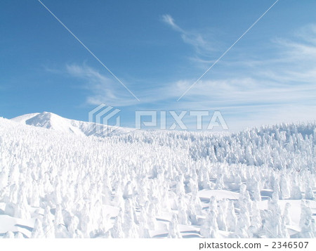 覆有霜的樹 冰霜覆蓋的樹木 山形縣 2346507