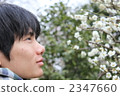 Spring 2347660