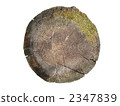 stub, stump, stumps 2347839