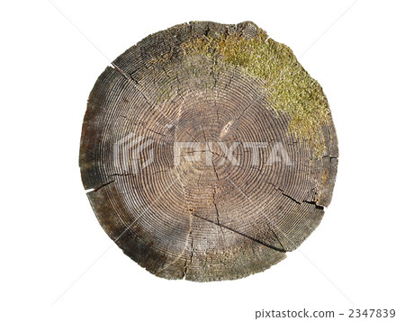 stub, stump, stumps 2347839