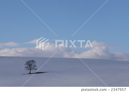 雪景 2347957