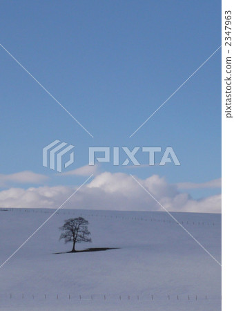 雪景 2347963