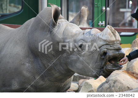 Munching Munching 2348042