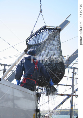 saury fishing, agriculture, forestry, stockbreeding, hunting and fishing, industrial 2349750