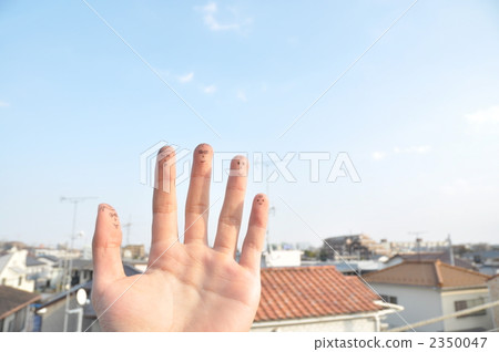 手指家庭 2350047