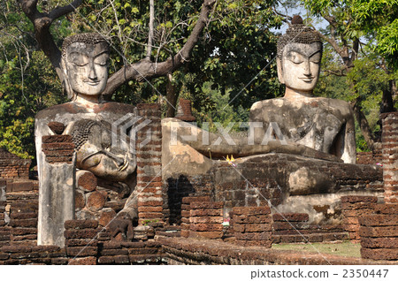 Camper Pet Buddha statue Camper Pet Buddha statue 2350447