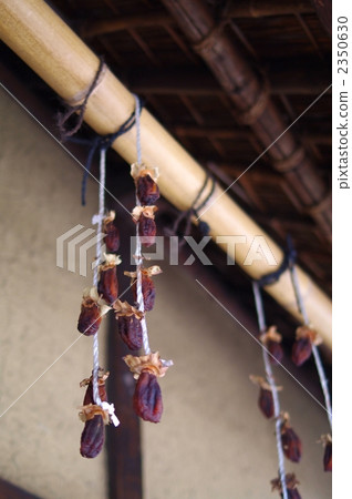 Dried persimmon 2350630