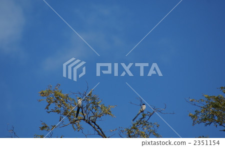 I'm a big guy 2351154