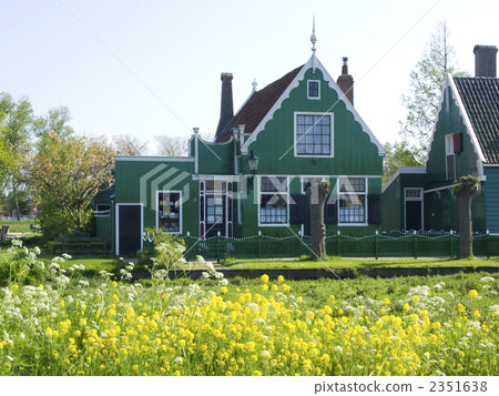 Overseas private house Country Rape Nana flower Netherlands 2351638