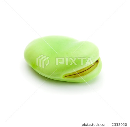 Broad beans Broad beans 2352030