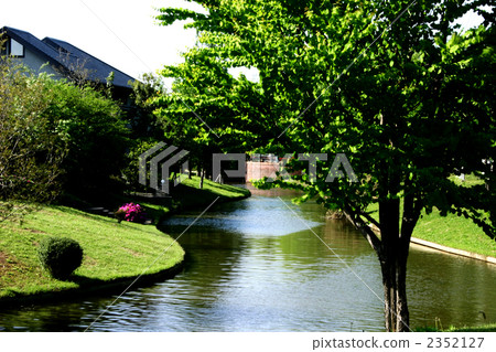 Fresh green waterway 2352127