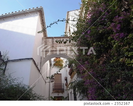 Small diameter of flower 2352167