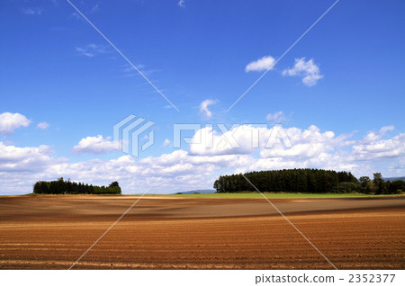 Upland field Upland field 2352377