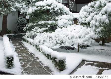 Snowy landscaped garden 2353156