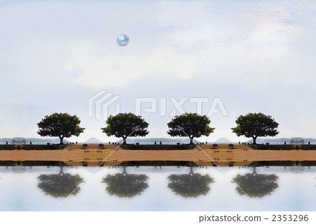 Four trees 2353296