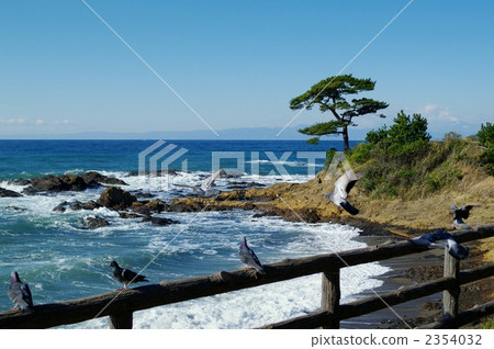 Akitani海岸 2354032