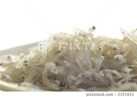 dried fish, dried things, dried goods 2355833