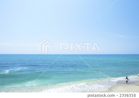 surf, surfing, kamakura 2356358