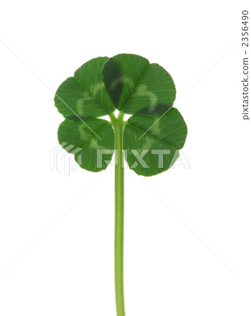 四片葉子的三葉草 四片葉子的三葉草 2356490