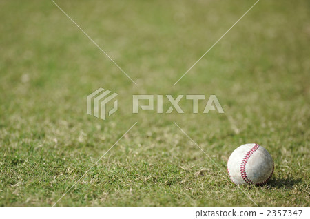 Baseball Ball 2357347