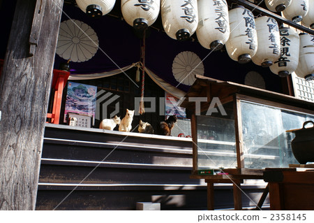 Jingu templa Jingu templa 2358145