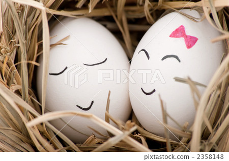 nestling, bird's nest, nest 2358148