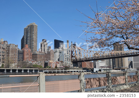 Spring's New York 2358153