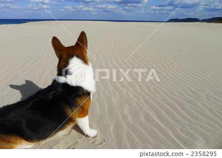 Sit on the ripple Sit on the ripple 2358295