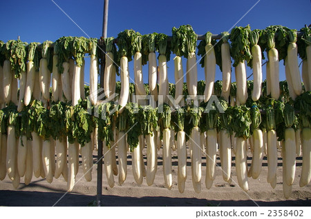 白蘿蔔幹 蔬菜 蘿蔔 2358402