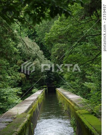 南禪寺初夏 2359497