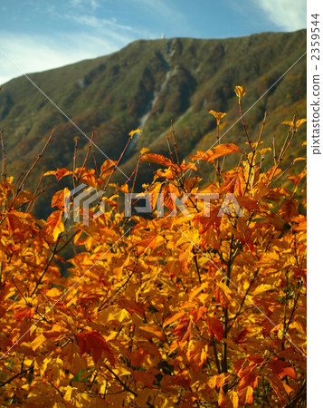 Ibukiyama,滋賀縣的最高峰 Ibukiyama,滋賀縣的最高峰 2359544