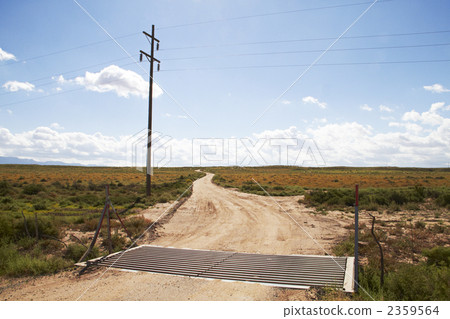 Kunekne path leading to the horizon, Indian protected area, America 2359564