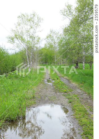 One road of early spring 2359579