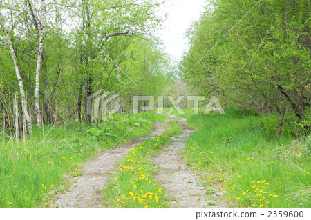 One road of early spring 2359600