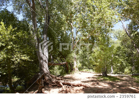 北美洲,亞利桑那,Sedona山流 北美洲,亞利桑那,Sedona山流 2359761