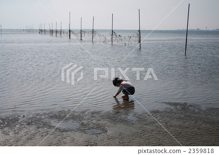 Water playing such as picking shellfish on the beach sandy beach 2359818